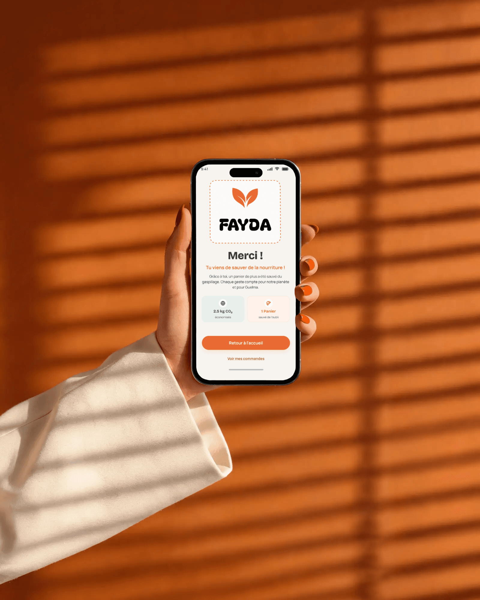 Preview of the Fayda app on mobile